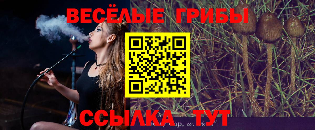 Санкт-Петербург  Галлюциногенные грибы Psilocybine cubensis  Вход с VPN 