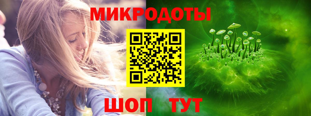 Псилоцибиновые грибы мицелий Санкт-Петербург